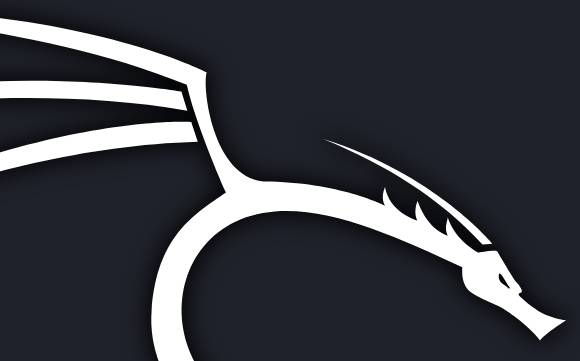 Clang kali linux как пользоваться